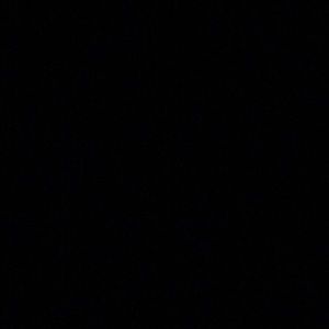 Meet your Posher, Jake